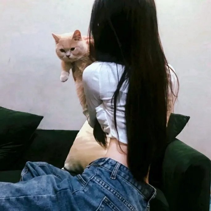 任务