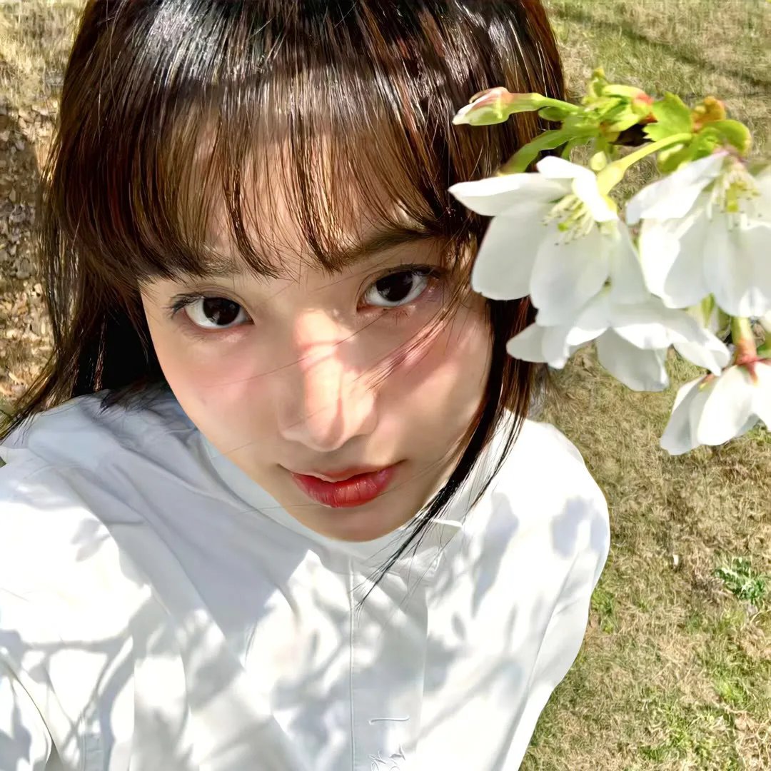 希特勒的疯子
